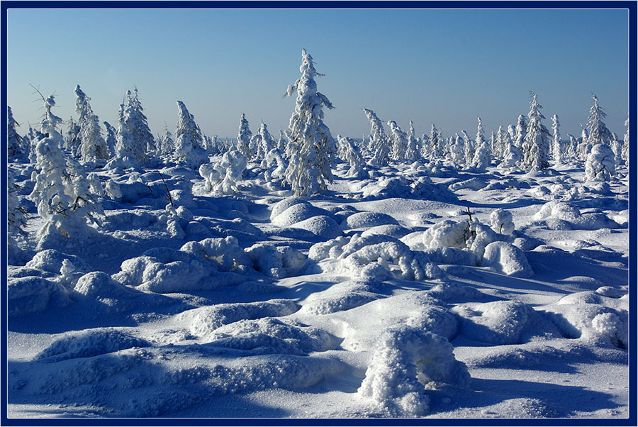 Снежное безмолвие