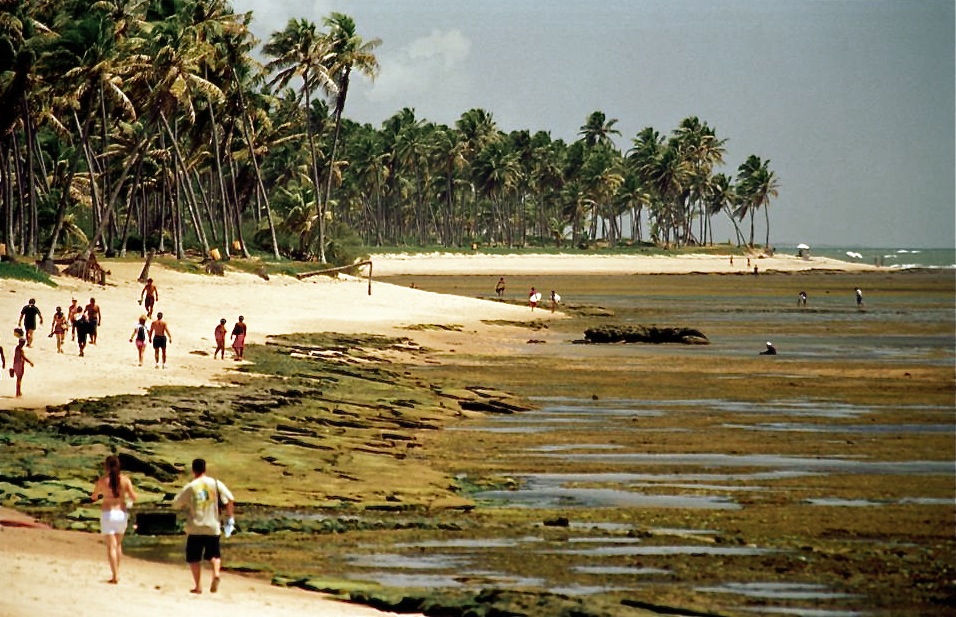 Praia do Forte, Brasil