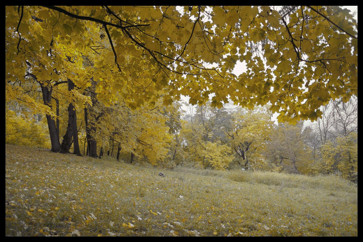 осенне-парковая..