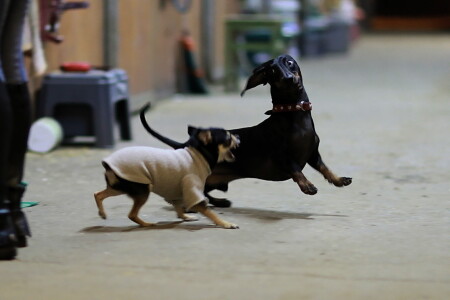 the art of making faces