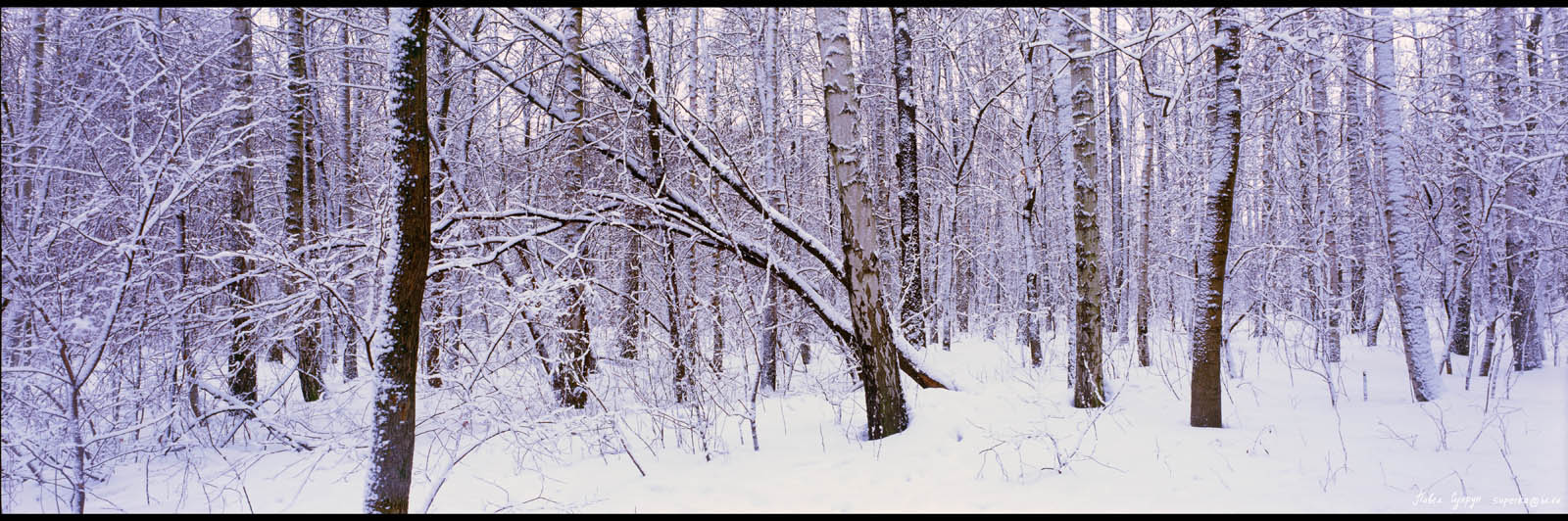 Последний снегопад