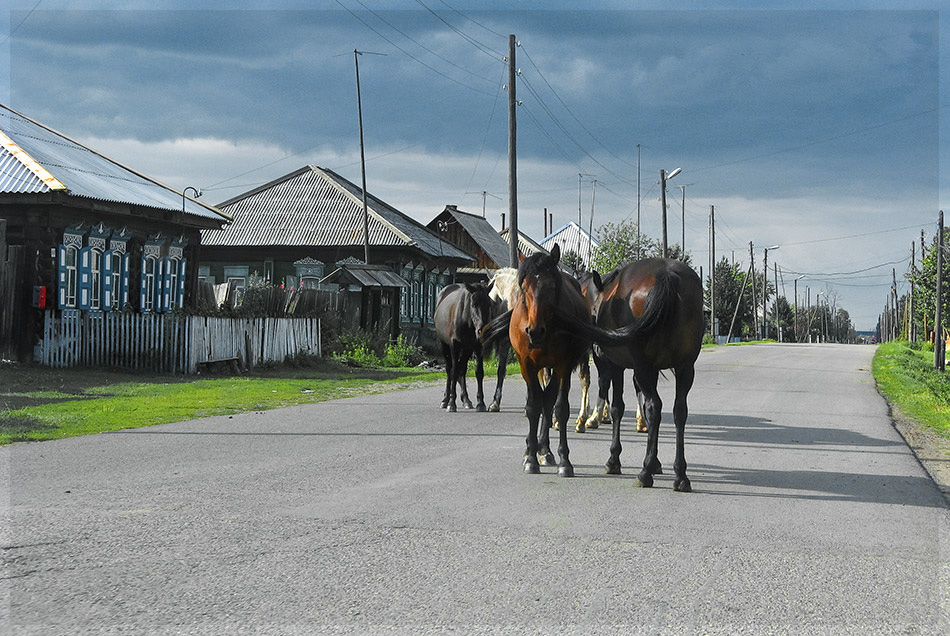 хозяЕва