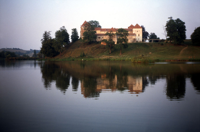 Свиржский замок