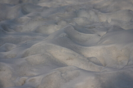 Белое безмолвие