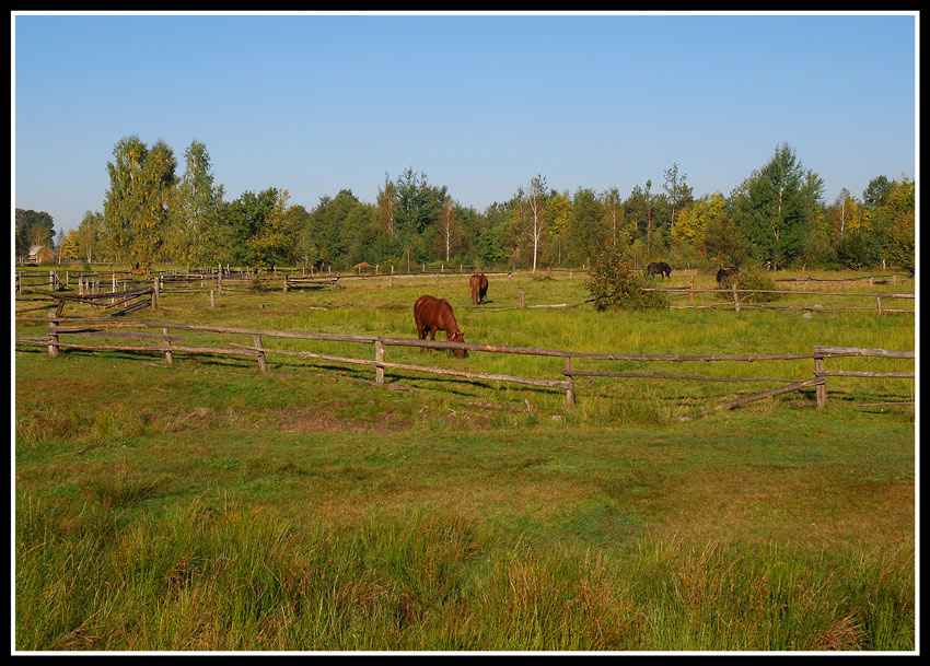 Глубинка