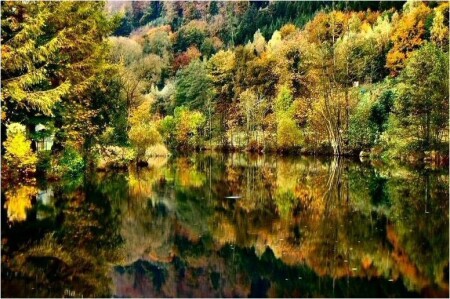 Про осень ушедшую