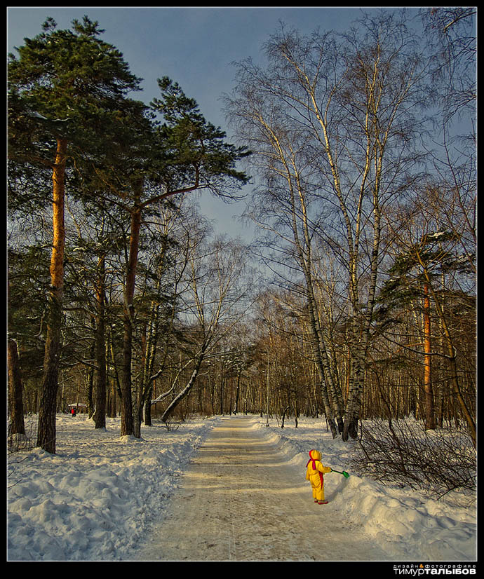 Зимняя зарисовка...