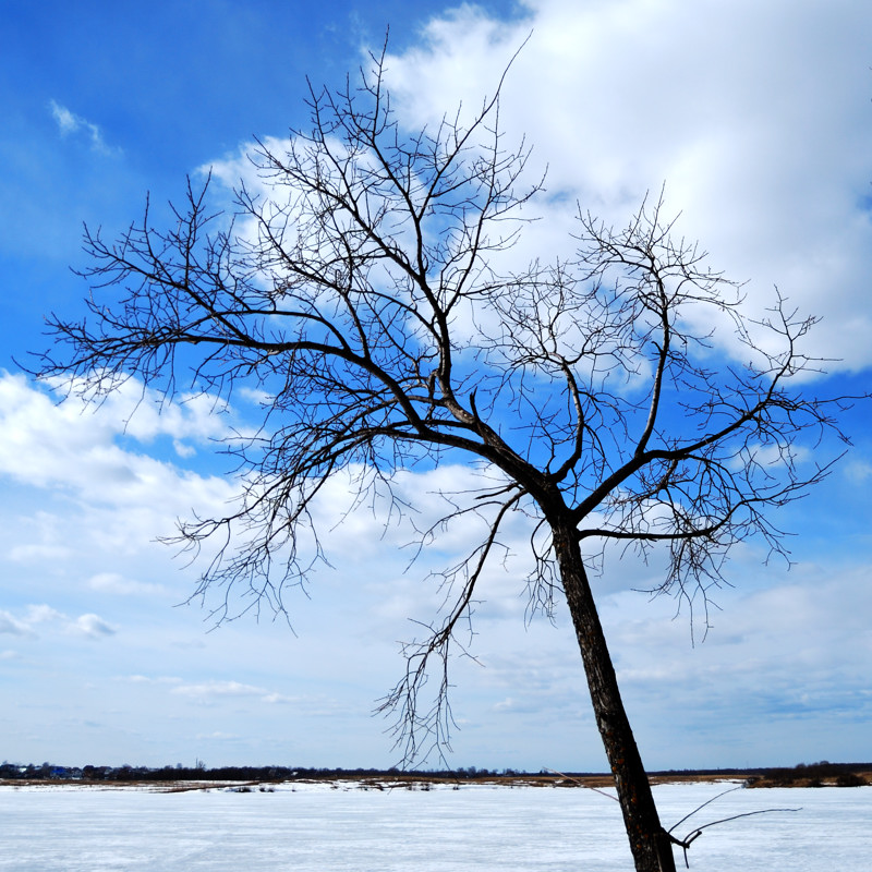 Краски весны