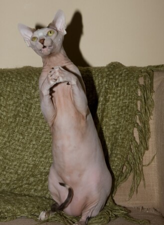 Мистер &quot;Зло&quot;