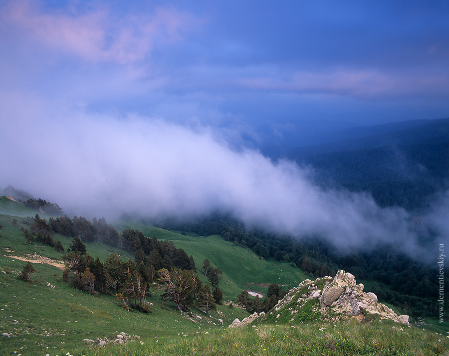 Лагонаки