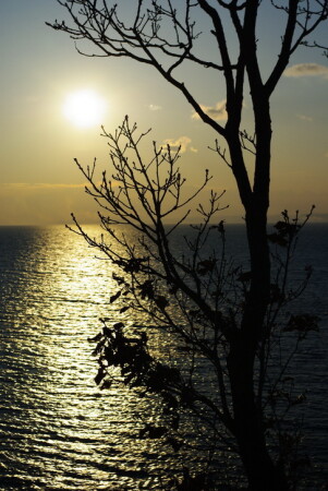 Закат в Андреевке