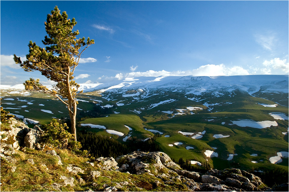 ХРАНИТЕЛЬ ПЛАТО ЛАГОНАКИ