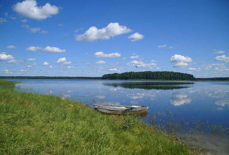 Шимозерская гавань