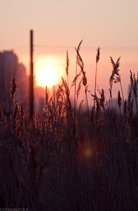 Городская красота