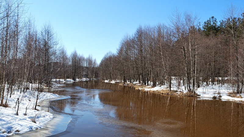 В лесу еще лежит снег...