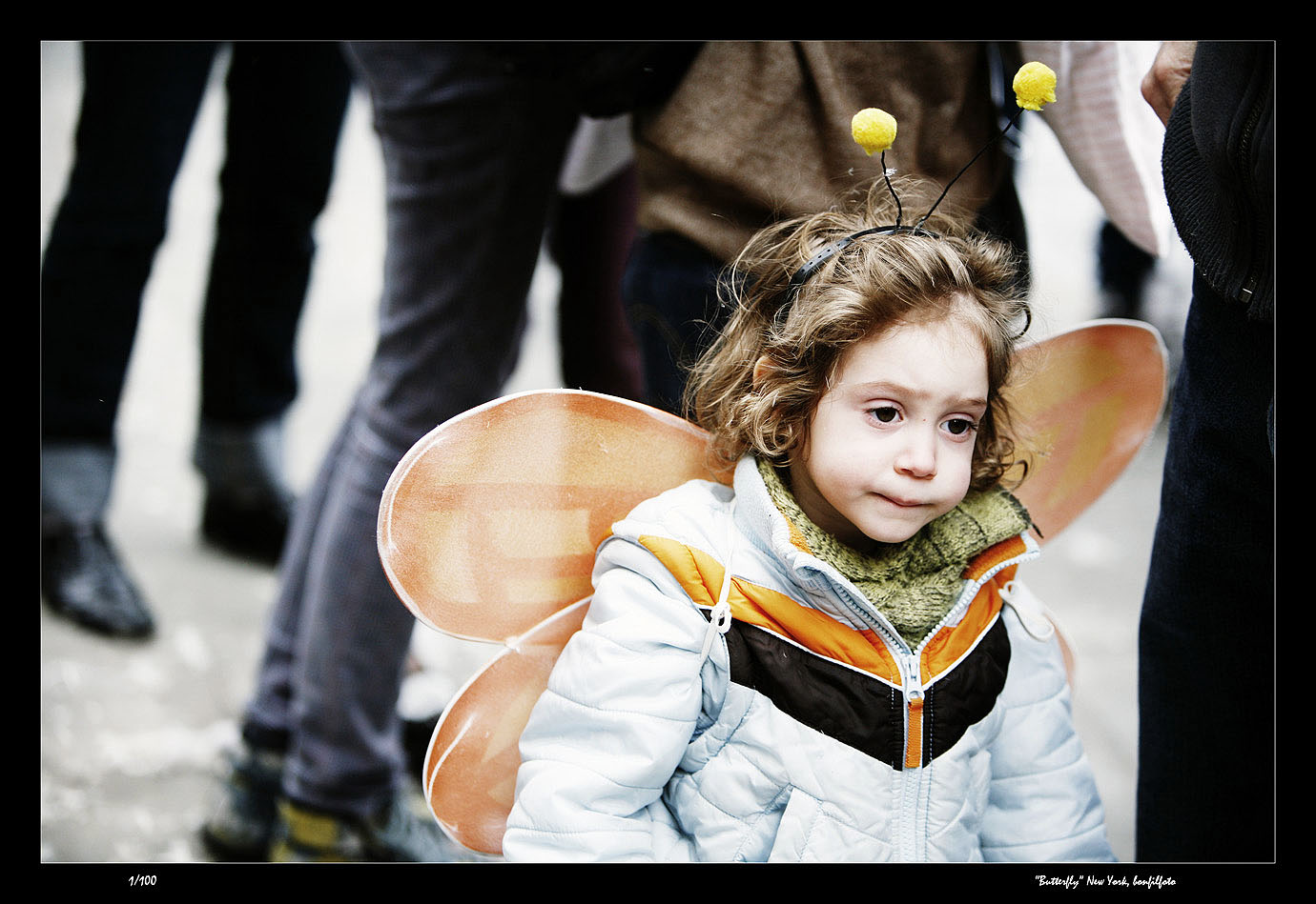 &quot;BUTTERFLY&quot; NEW YORK