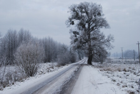 Спокойствие. 