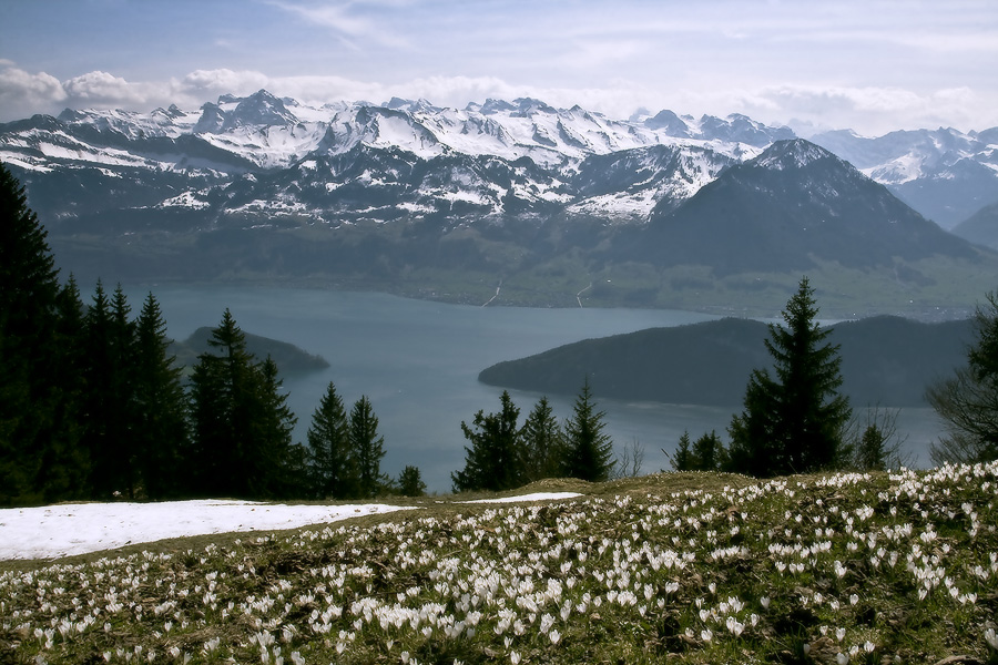 Rigi