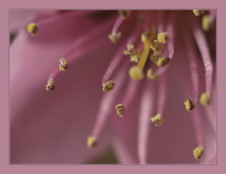 Все еще весна ))