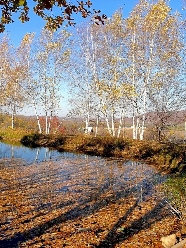 Сердце осени.