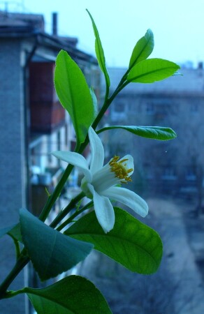 Весна пришла...