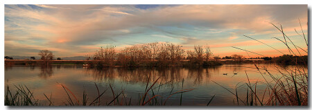 Pink lake