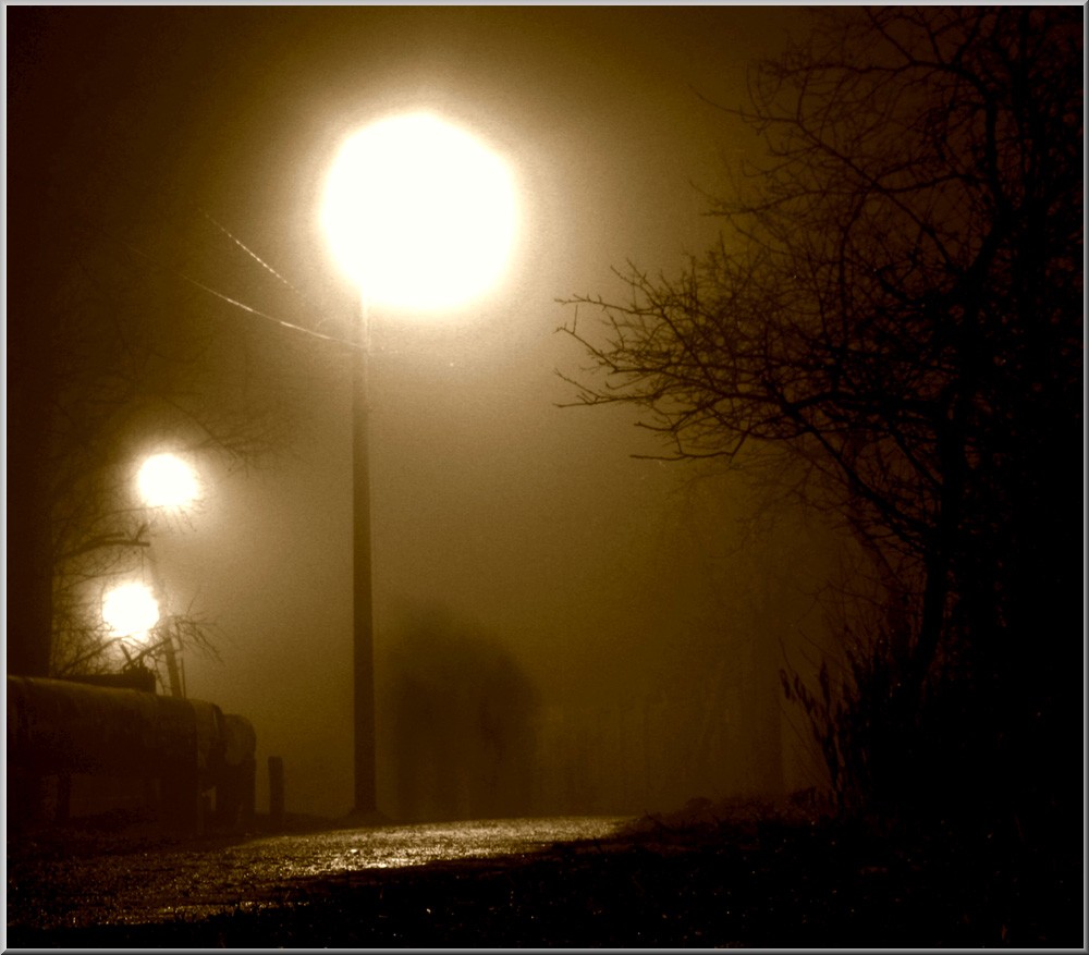 Misty lights &amp; back alleys