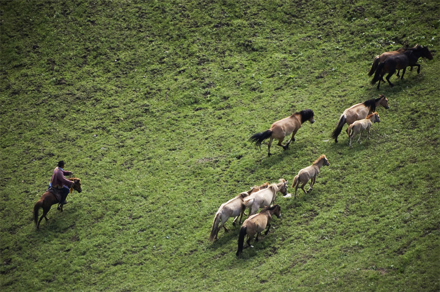 Rhythms of Mongolia#3 