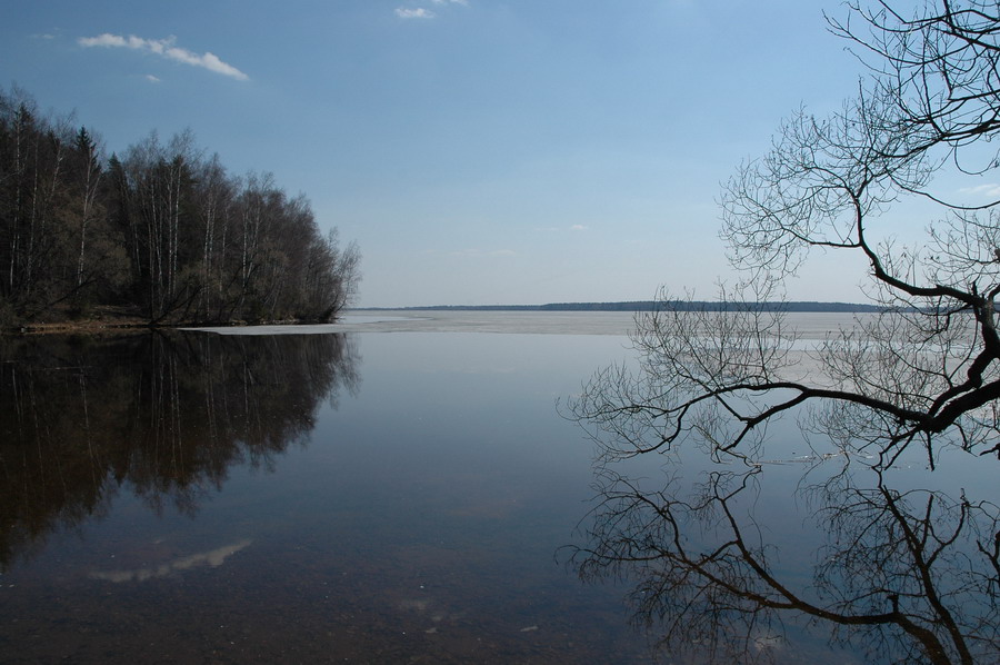 Пришла желанная весна