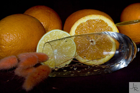 апельсиновый натюрморт