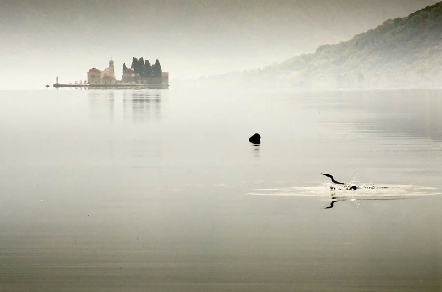 Ordinary morning for Loch Ness Monster