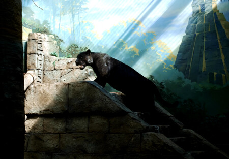 Охотник тени