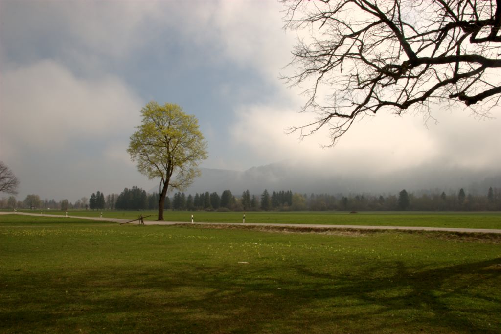 Bavarian Alps