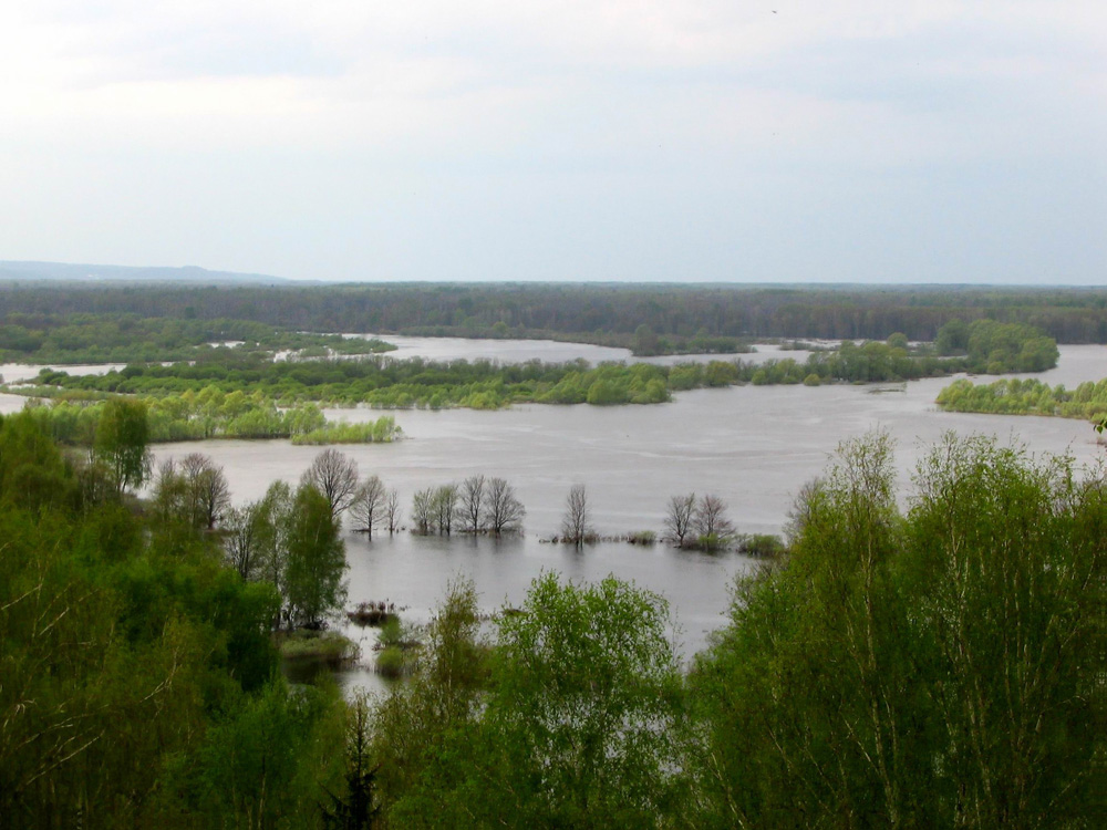 Разлив на Клязьме