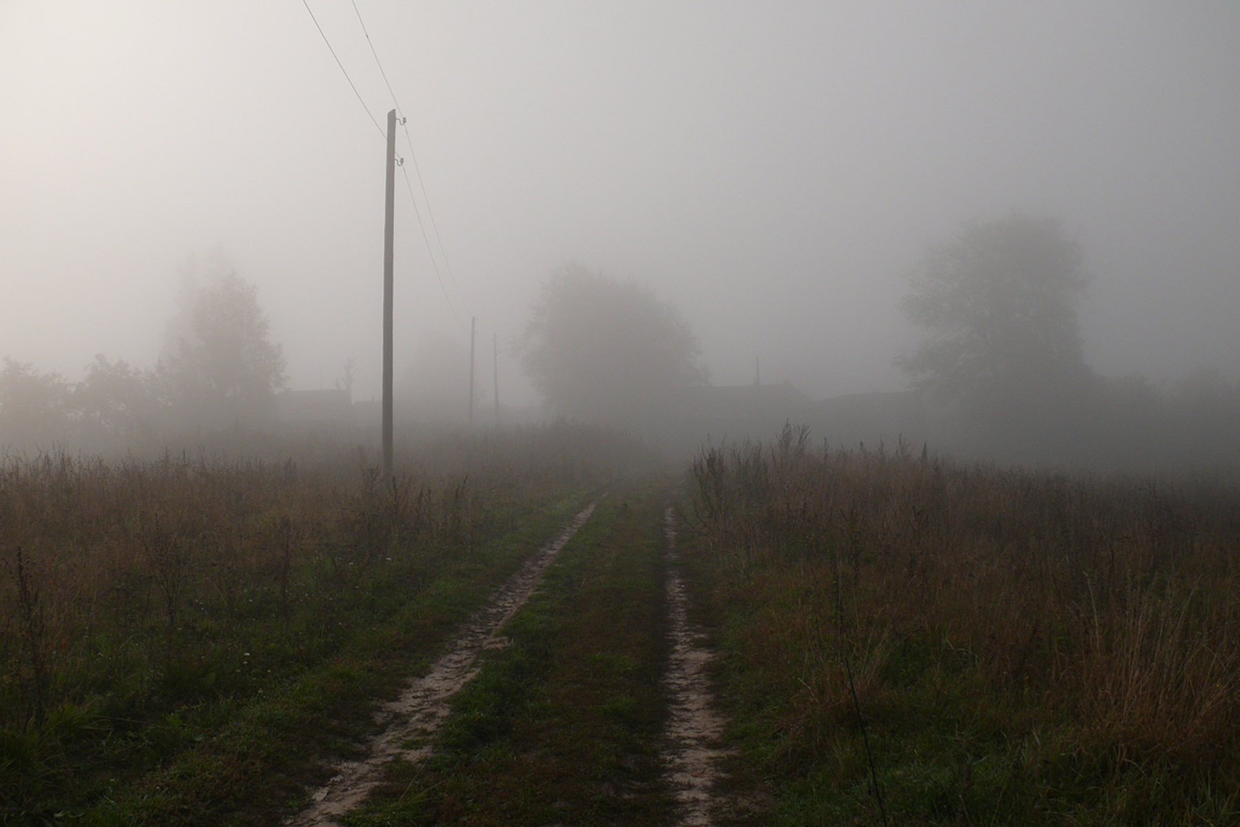 Осень. Утренний туман.