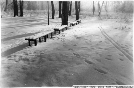 Парковые скамьи