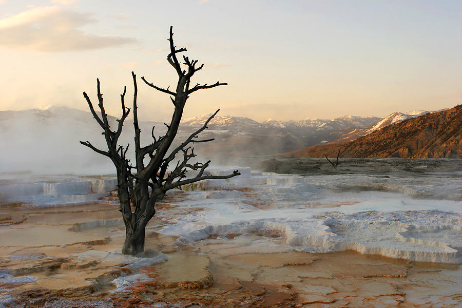 Mammoth Hot Springs #2