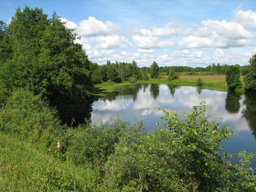 nr. Муром