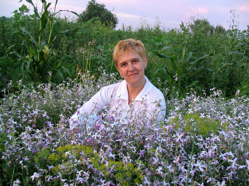 Летний вечер.