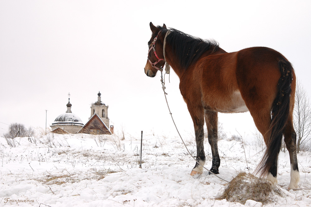 из зимних зарисовок