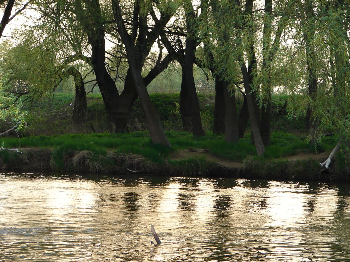 Река Протва