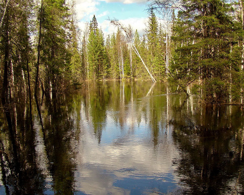 Весенний свет