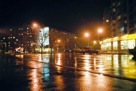 В ночь после дождичка