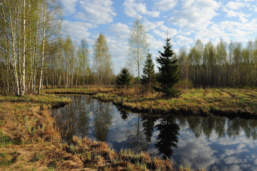 Первая зелень