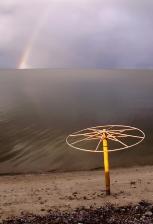 Немой свидетель