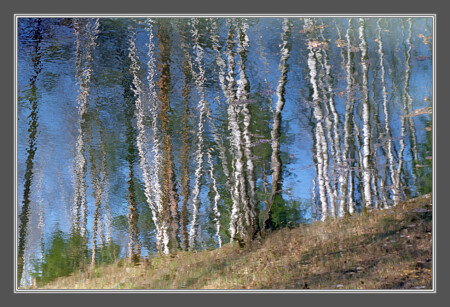 Свежий ветер Весны