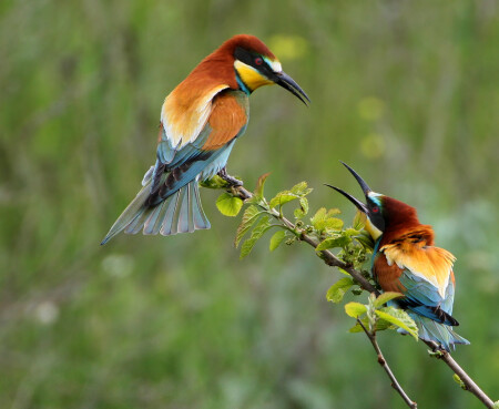 По секрету...