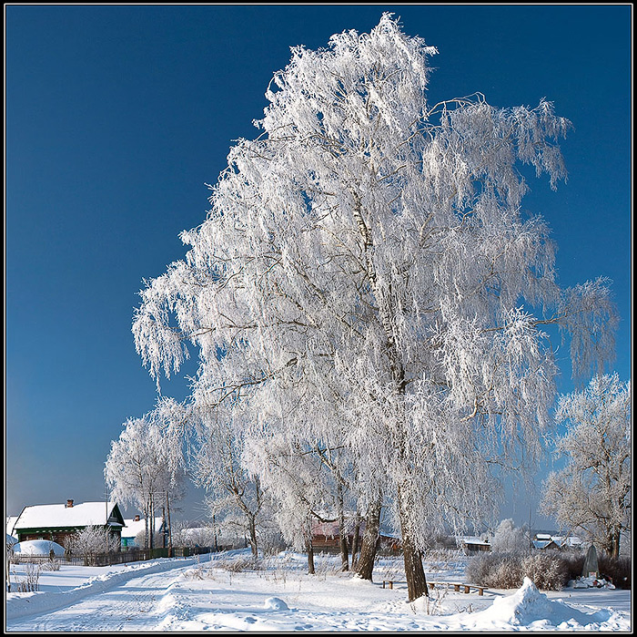 Морозным февральским днем