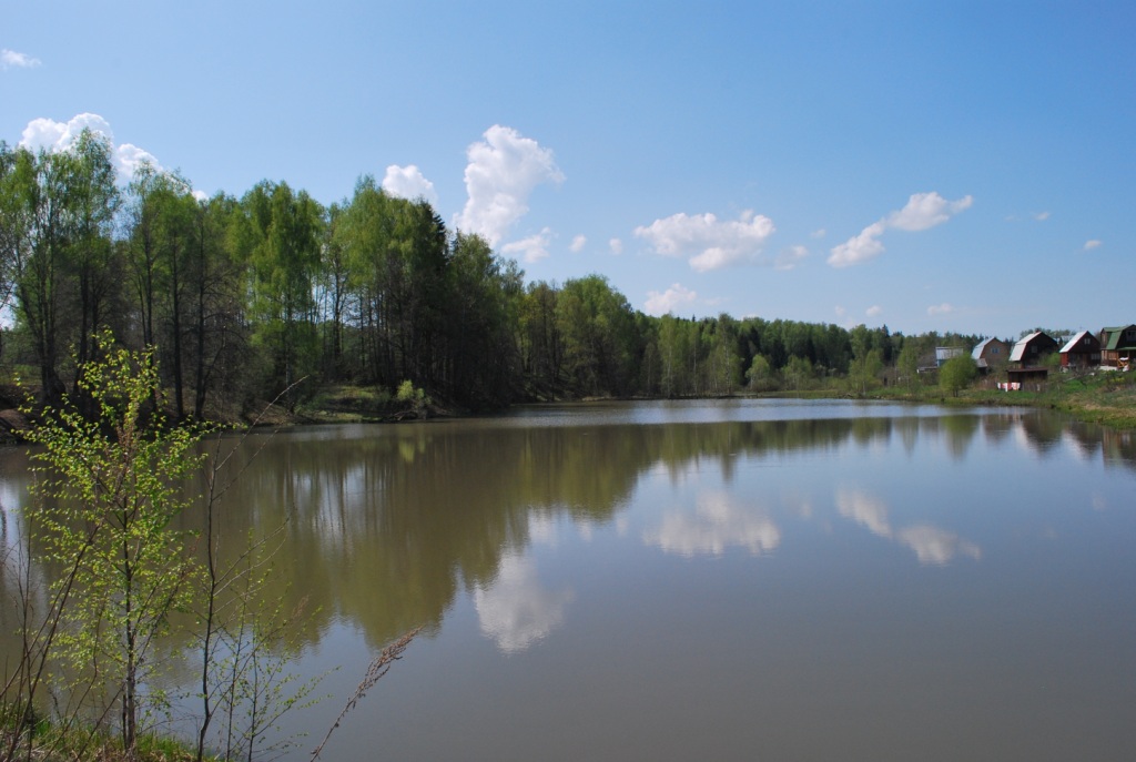 Московская область