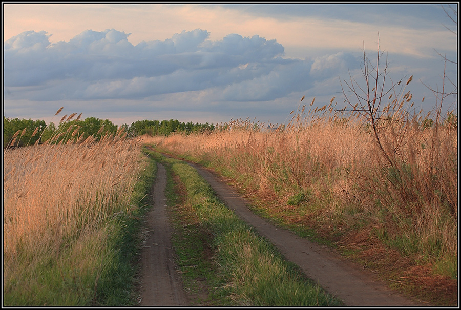 Дорога